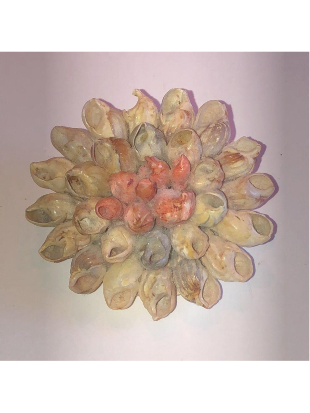 Vintage Delicate Shells Round Boho Brooch Shoulder Pin